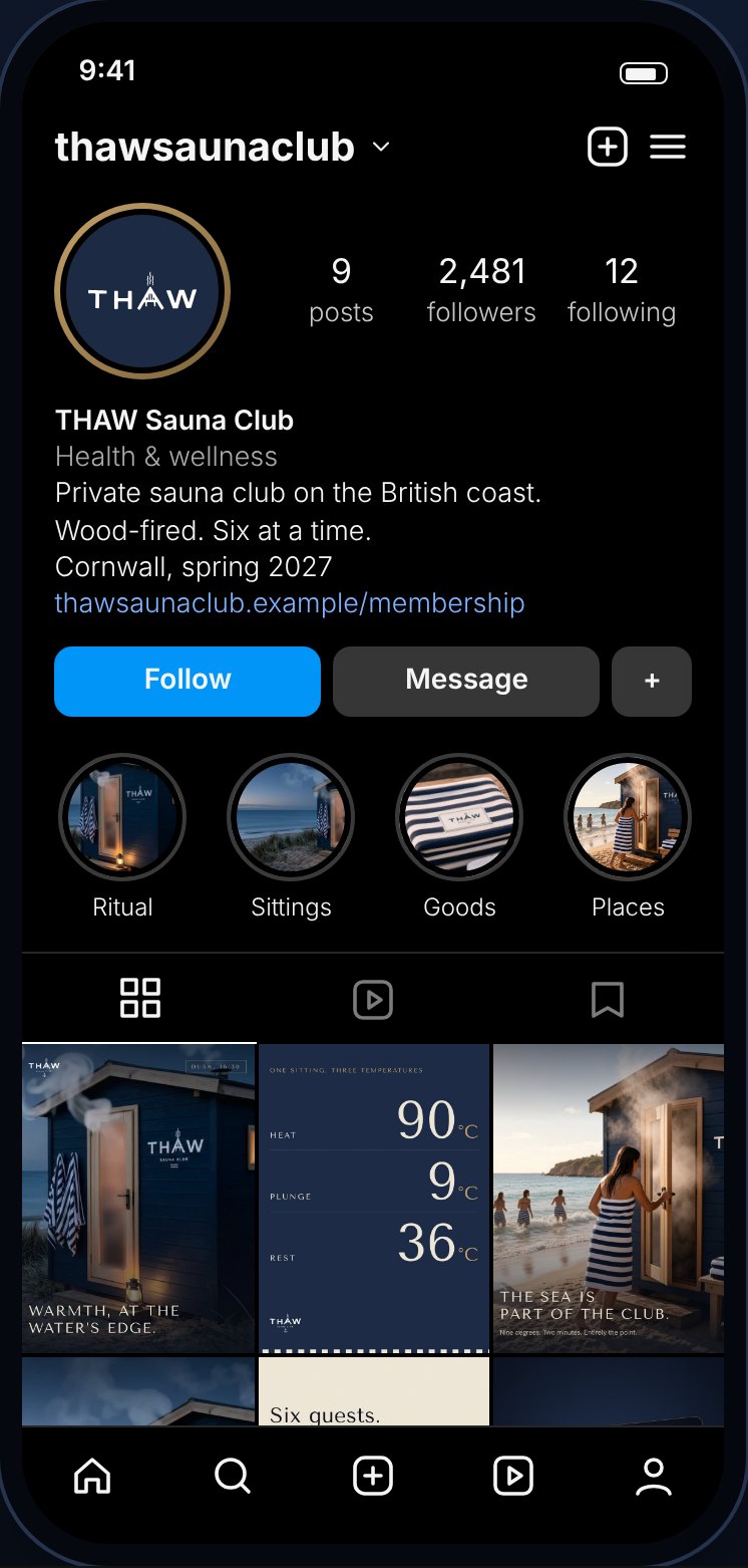 The THAW Instagram profile with highlights and a nine-post grid.